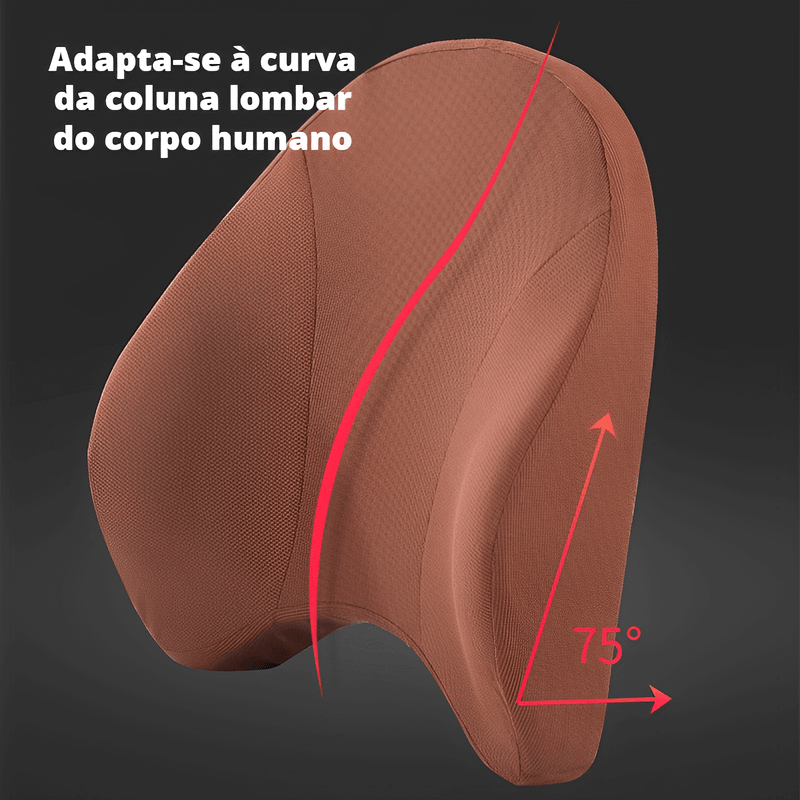 Almofada de Cabeça e Lombar para Automóvel